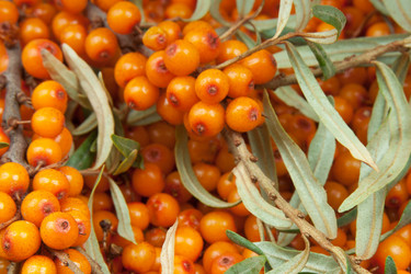 Similar image 7666674