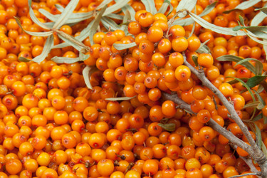 Similar image 7666675