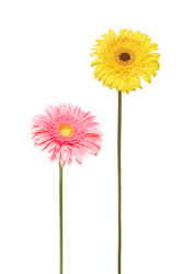 Similar image 7666680