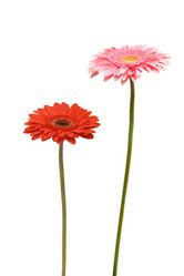 Similar image 7666683