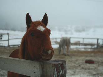 Similar image 7667081