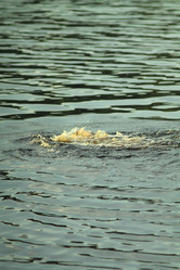 Similar image 7667233