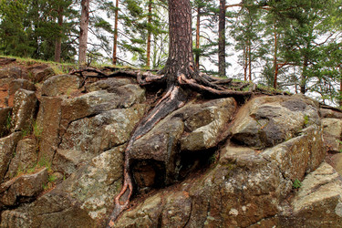 Similar image 7667272