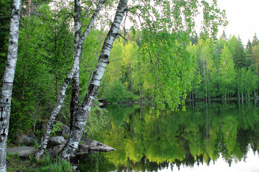 Similar image 7667273