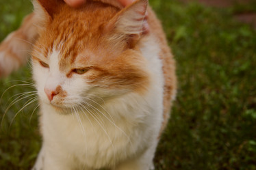 Similar image 7667547