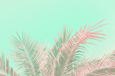 Similar image 7667550