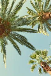 Similar image 7667552