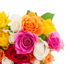 Similar image 7667555