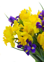 Similar image 7667581