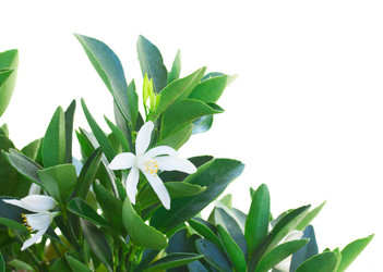 Similar image 7667598