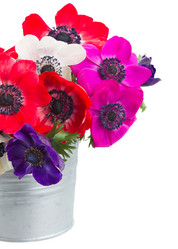 Similar image 7667604