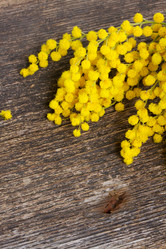 Similar image 7667605