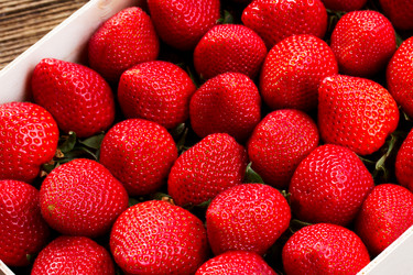 Similar image 7667624