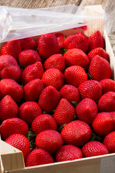 Similar image 7667625