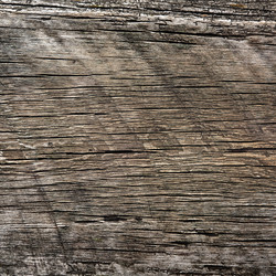 Similar image 7667669