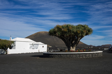 Similar image 7667685