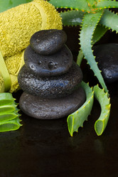 Similar image 7667698