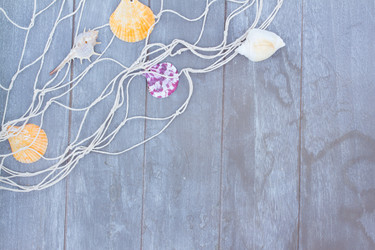 Similar image 7667699