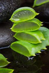 Similar image 7667706