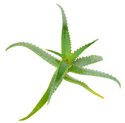 Similar image 7667715