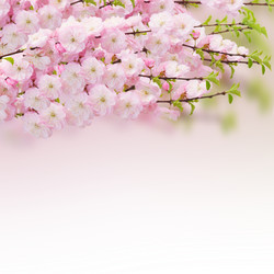 Similar image 7667716