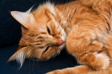 Similar image 7667939