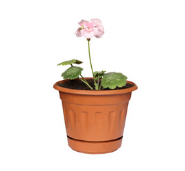 Similar image 7667952