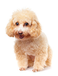 Similar image 7679766