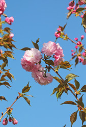 Similar image 7679866