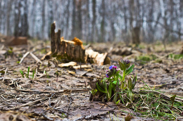 Similar image 7679872