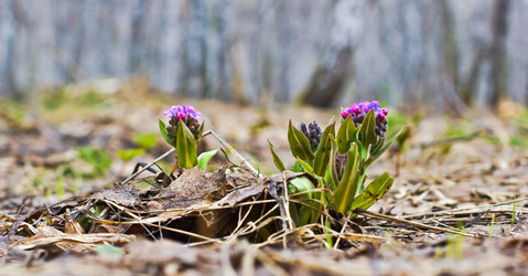 Similar image 7679873