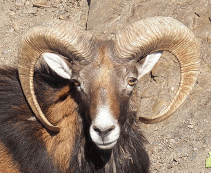 Similar image 7679876