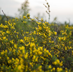 Similar image 7679877