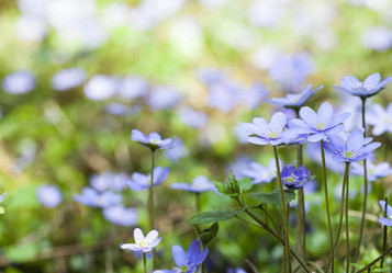 Similar image 7679882