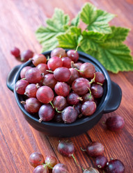 Similar image 7680521