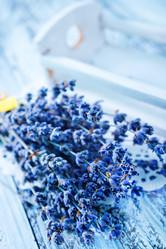 Similar image 7680526