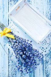 Similar image 7680528