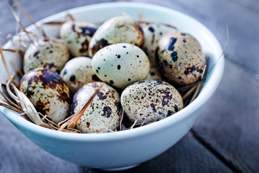 Similar image 7680551