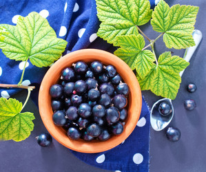 Similar image 7680558