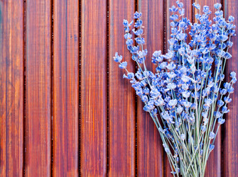 Similar image 7680581