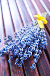 Similar image 7680594