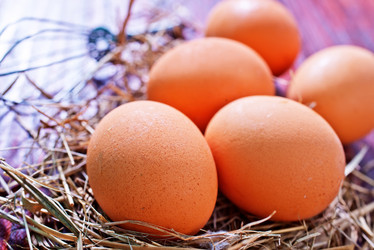 Similar image 7680609