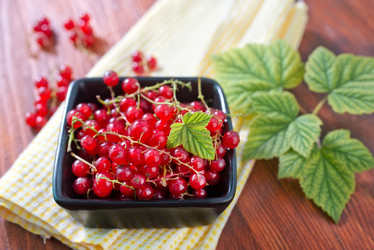 Similar image 7680666