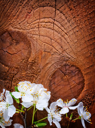 Similar image 7680736