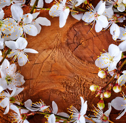 Similar image 7680737