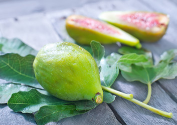 Similar image 7680940