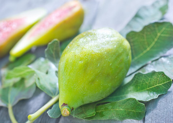 Similar image 7680954