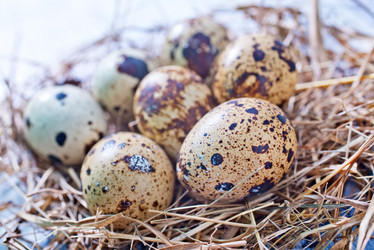 Similar image 7681046