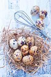 Similar image 7681047