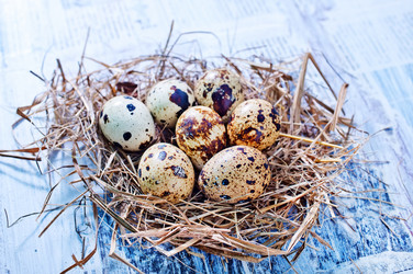 Similar image 7681048